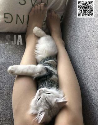 顶级美剧第一季免费看_超清高清在线